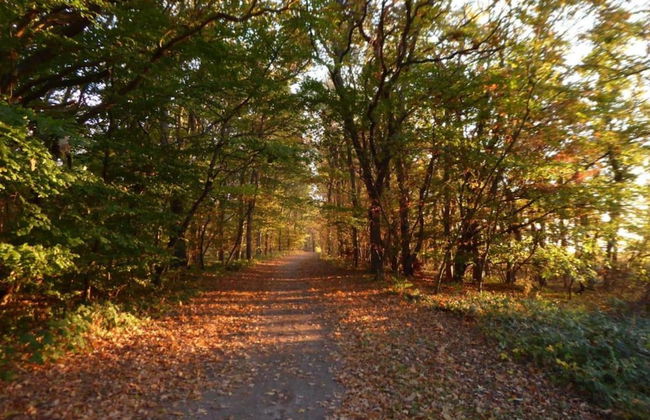 Relaxed Countryside Comfort - Foto 34