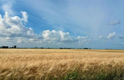 Ferienhaus Chrissy - Foto 27