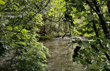 A Barreira -Lar da cima- - Foto 33