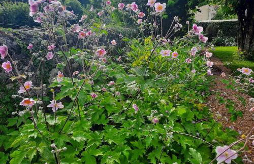 Le Clos de la Fuie, La Perrière, Perche - Foto 38