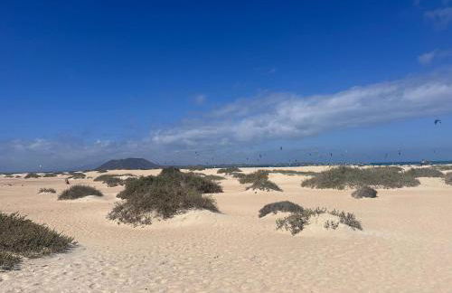 Natural Renacer Zen - Photo 33