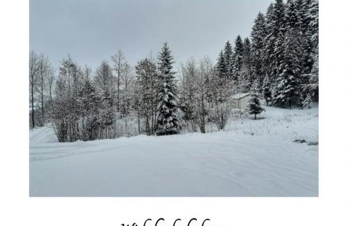 Willa Witówka - Foto 32