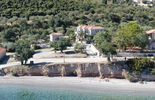 Filyra Xenonas - Foto 6