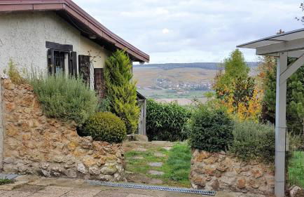 Le Coq de Champagne - Foto 7