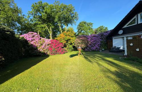 Ferienhaus am Steinhuder Meer - Foto 9