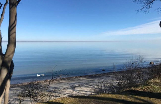 Spacious Bungalow near Sea in Grundshagen - Foto 24