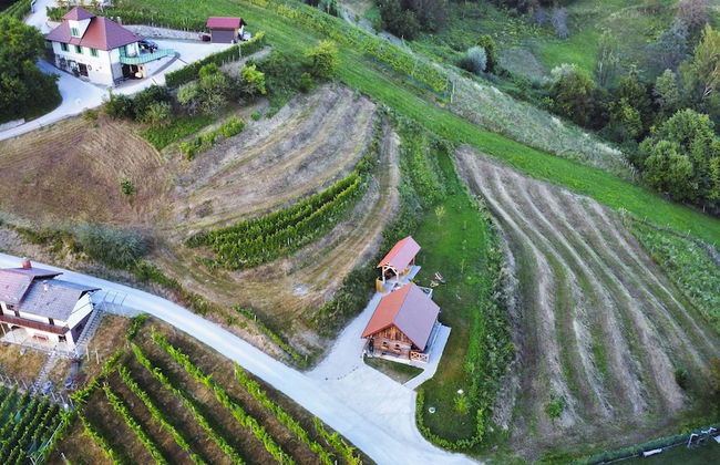 Vineyard cottage Vinska grajska kašča - Foto 62