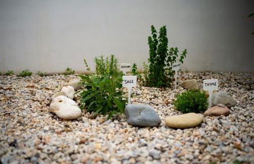 Sunny Villa - Foto 12