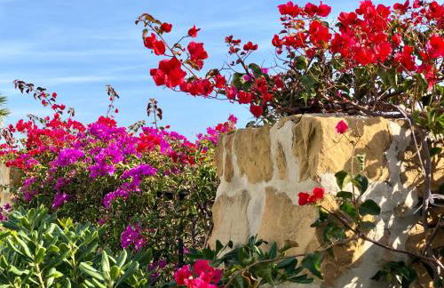 Casa Olina - Photo 73