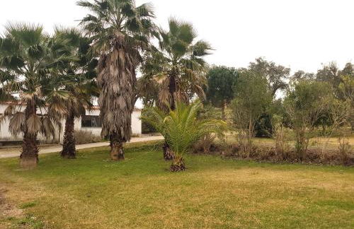 Monte das Laranjeiras - Foto 6