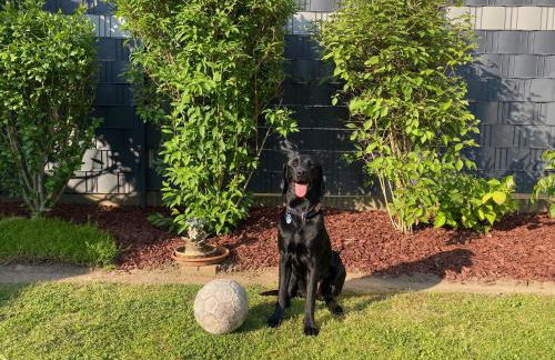 Barrierefreies Ferienhaus mit Garten bei Köln - Foto 5