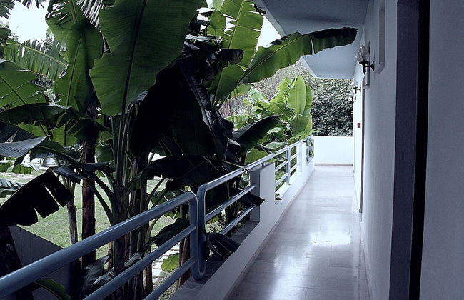 Elga Hotel - Foto 31