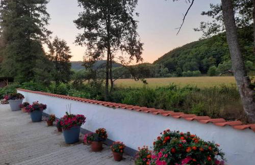 Lindenwohnung an historischer Mühle - Photo 12