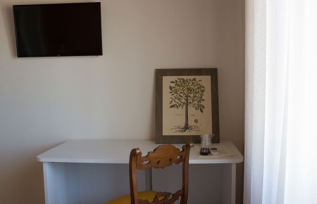 Fattoria L'Olmetto - Foto 18