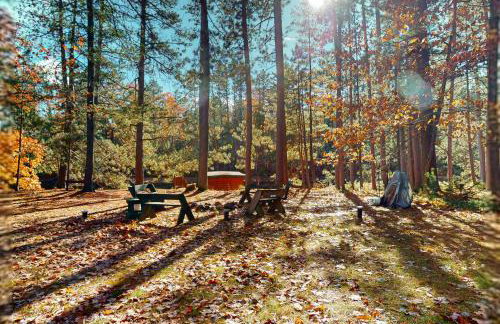 Manitowish Mike’s - Photo 38