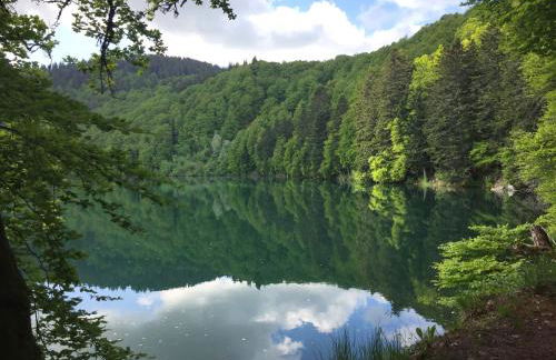 La Grange Saillant Saint Nectaire - Foto 57