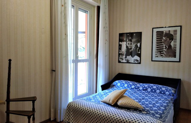 Pettirosso - Photo 5