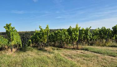 Ferienwohnung Sonnenschein Familie Hamdorf - Foto 2