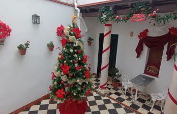 La Alboreá - Foto 53