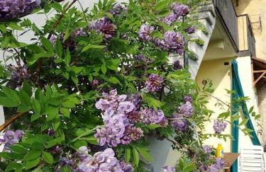 Casa Carla, Velzo, Grandola ed Uniti, - Foto 1