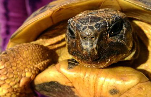 Agroturismo Matxani Gran - Foto 23