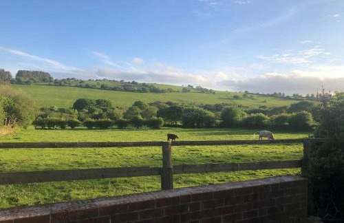 The Artists Barn - Foto 21