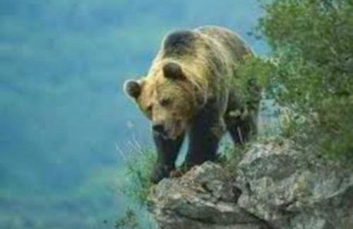 zentralclub apartamento El Nido de Somiedo - Foto 39