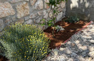 Bonvivan House - Photo 59