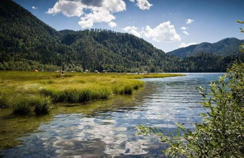 Alpentraum Comfortable holiday residence - Foto 28