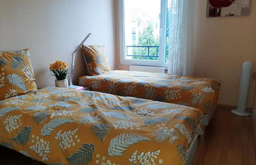 GITE LA HOUBLONNIÈRE STANDING et CONFORT à COLMAR - Foto 5