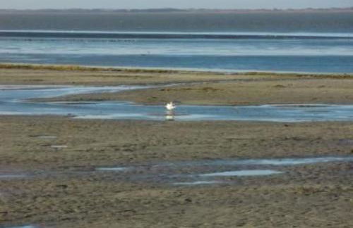 Apartment Huus Thimo by Interhome - Foto 37