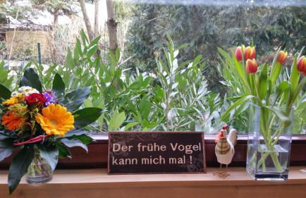 Gästehaus Sonnenhügel - Foto 16