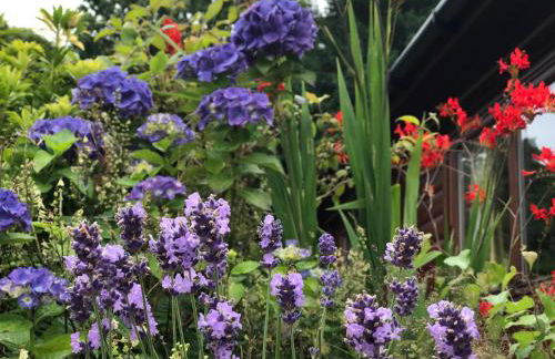 Kipplochan - Photo 63