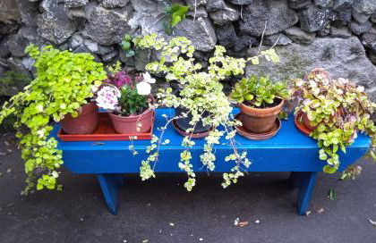 Prédio do Castelo - Photo 34