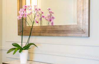 Ormos Luxury Suites Elia - Photo 8