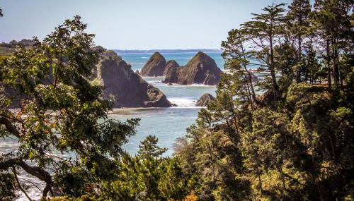 Stunning Elk House Oceanfront Deck & Views - Foto 4