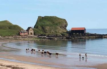 Erradill Cottage - Foto 29