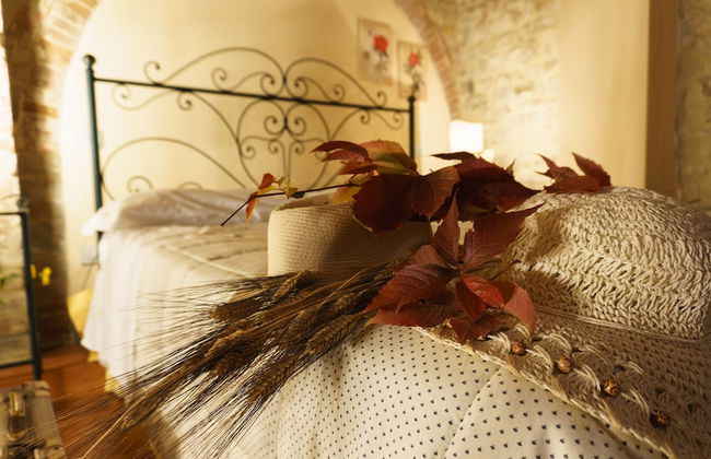 Tenuta Sant'Ilario - Foto 61