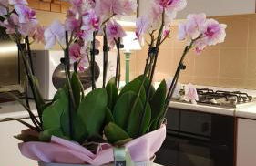 Ginevra Casa Vacanze - Foto 27