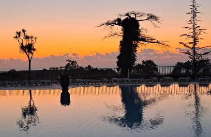 Domaine de Bordaberry - Jardin & superbe piscine - Photo 63