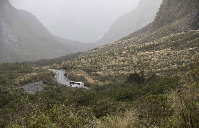 Excursión al fiordo Milford Sound - Foto 2