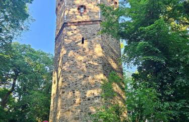 Licht+Luft, Wohnen auf Zeit - Foto 54