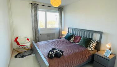 SunnyF2- EuroAiport-Basel-TrainStation-CityCenter - Foto 3