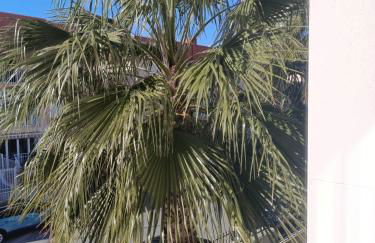 Royal Park Green Spa - Foto 28