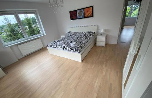 White House Izabelin Family SPA House near Warsaw - Foto 90