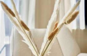 Modern & Zentral mit Parkplatz - 30 min bis zur Messe Köln und Düsseldorf - Foto 8