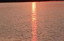 Le clos des anges - Foto 25