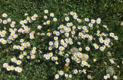 Casa Tecla, bright apartment in a single house - Photo 55