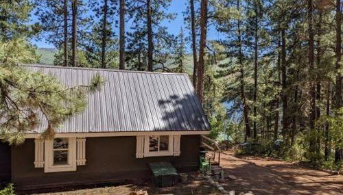 Nellie May Cabin on Vallecito Lake in Bayfield CO - Foto 3