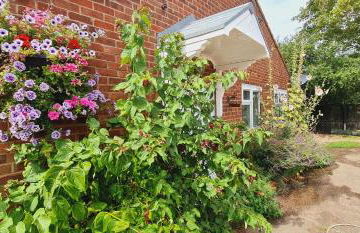 Sherwood Bungalow 3 Bedroom Entire Property - Foto 48